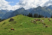 PIZZO BADILE (2044 m) brembano da Valleve il 16 agosto 2019 - FOTOGALLERY